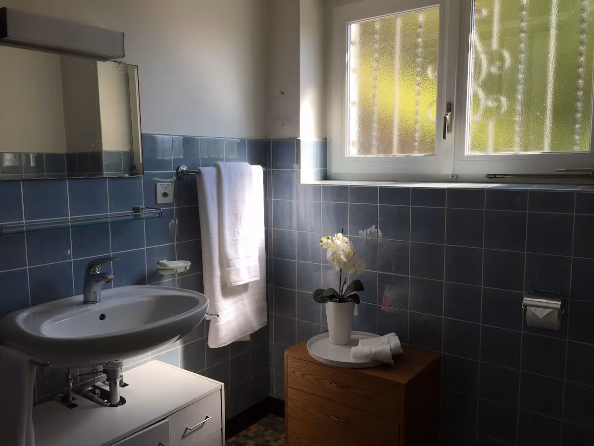 Salle de bain avec douche, carrelage bleu et sol en mosaïque