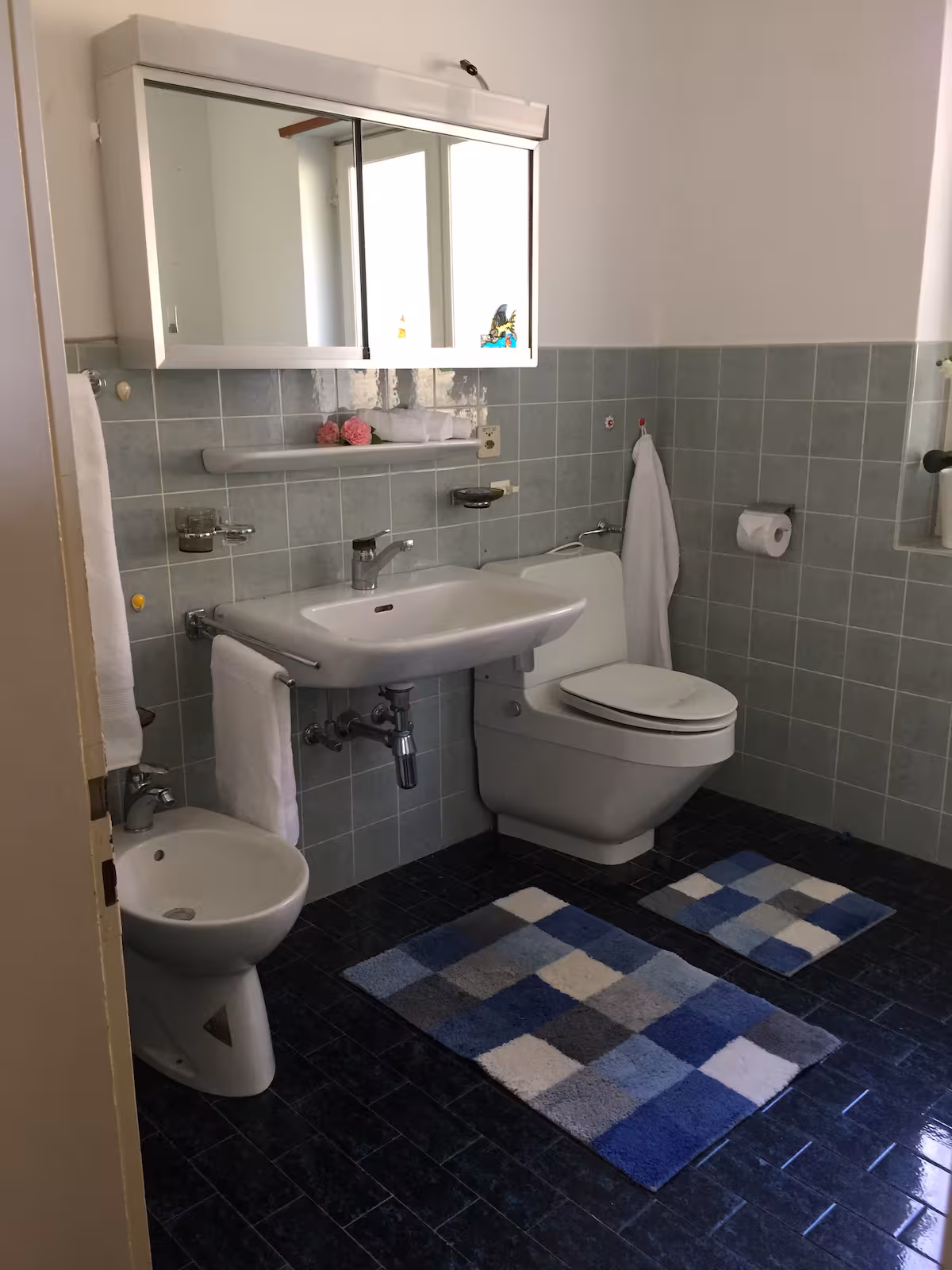 Salle de bain avec vasque, bidet et tapis à damier bleu et blanc
