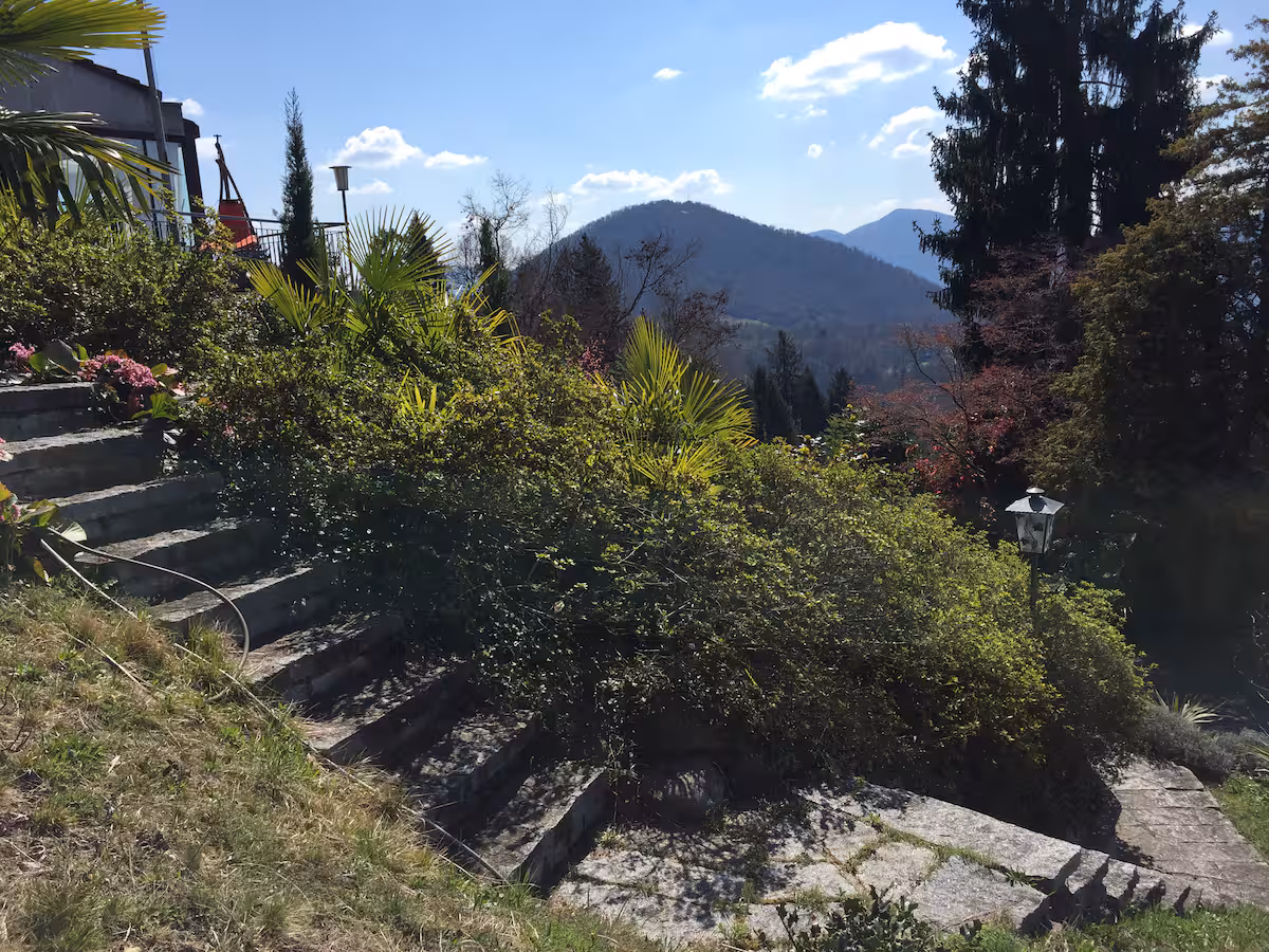 Allée de jardin en pierre bordée de végétation