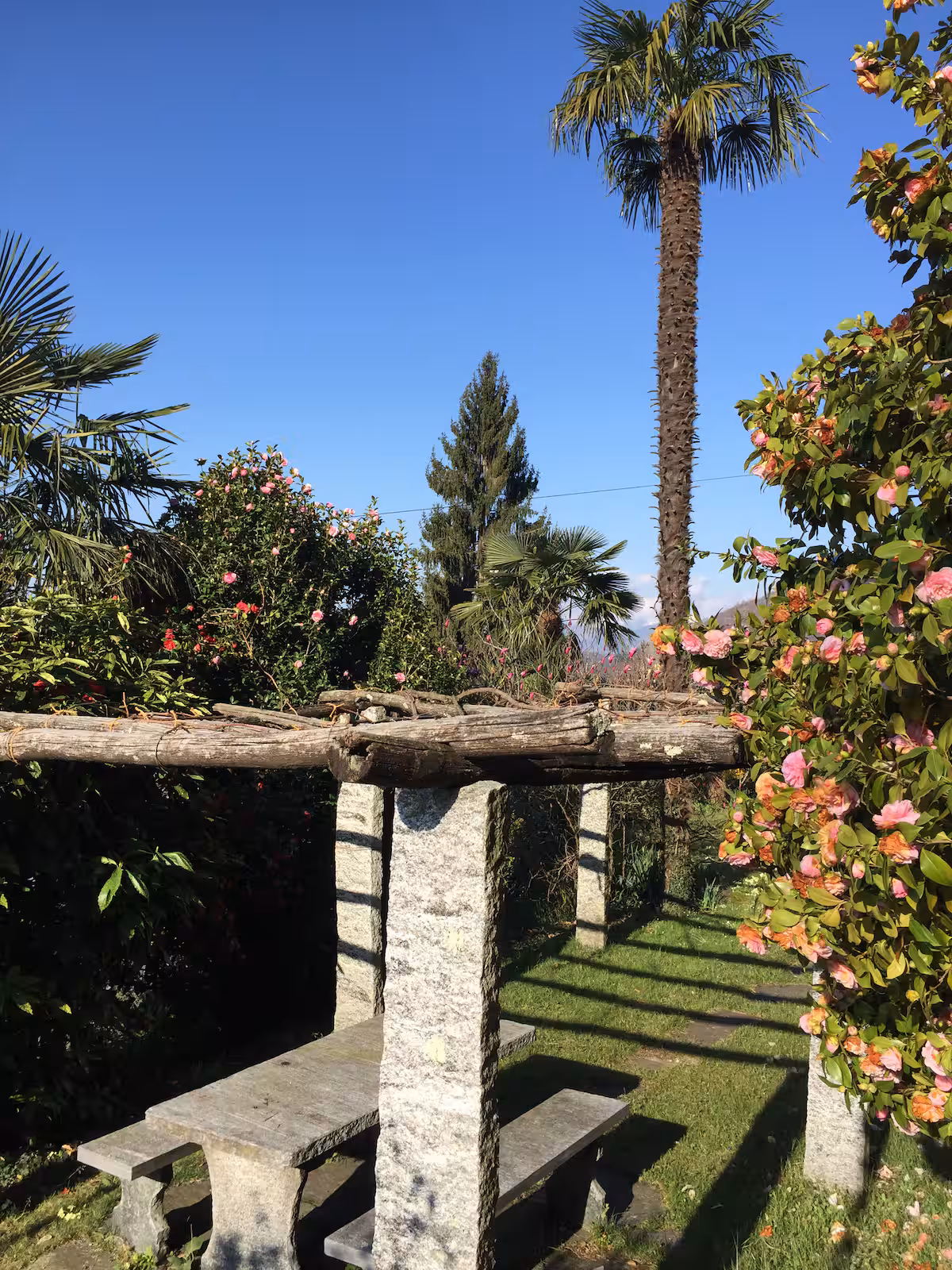 Pergola couverte de plantes grimpantes dans le jardin