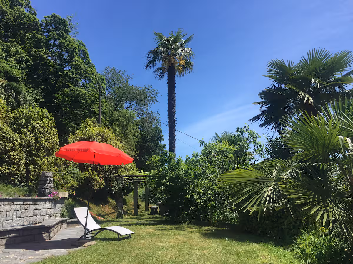 Jardin avec parasol rouge, chaise longue et palmiers