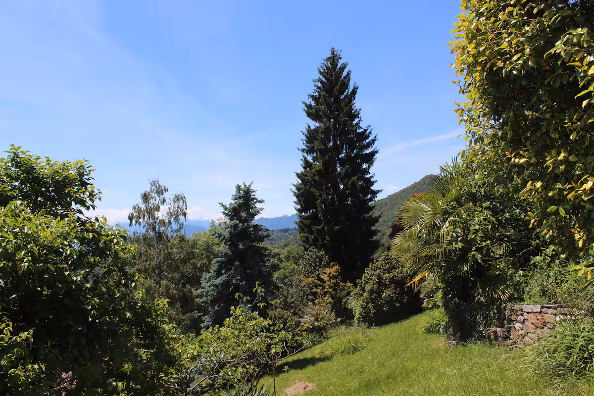 Vue du jardin avec cyprès et collines au loin