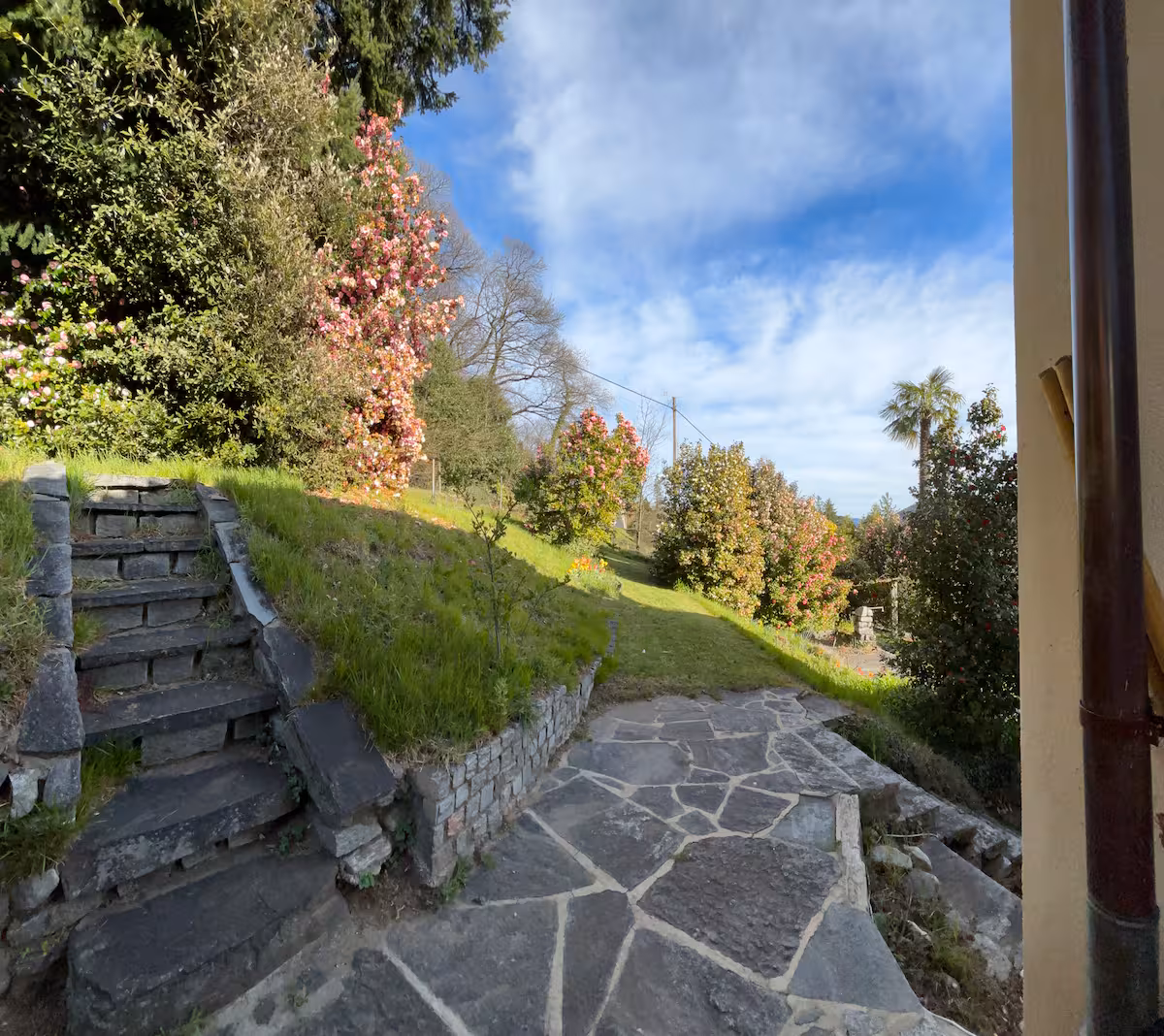 Escalier en pierre et allée du jardin de la villa